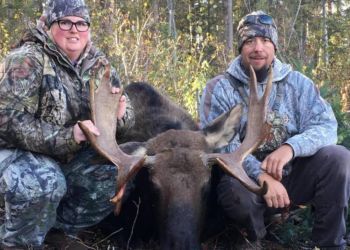 Bull Moose Hunting BC