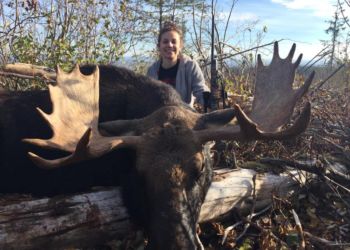 Moose Hunting Central BC