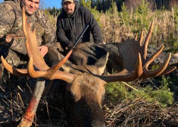 Moose Hunt BC