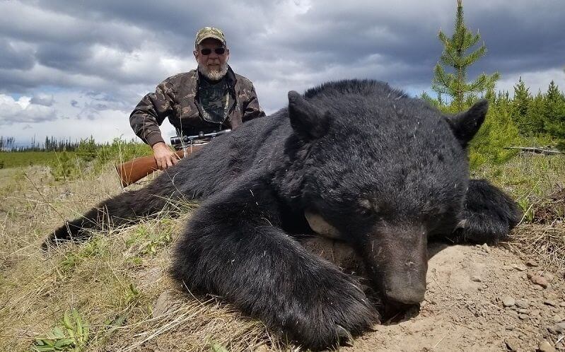 Black Bear Hunting