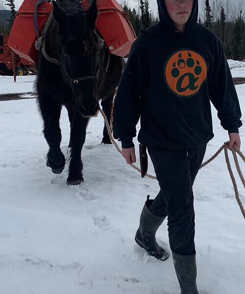 Horsemanship and general riding