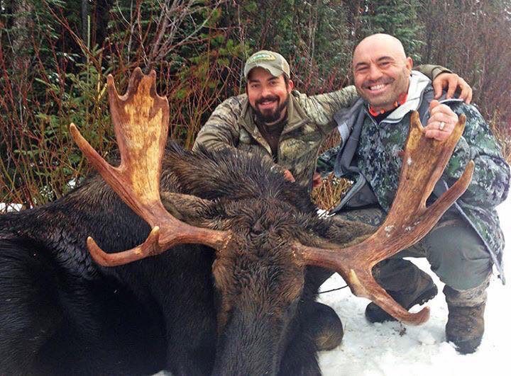 Joe Rogan Hunting Moose