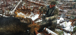 Moose hunting Winter