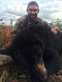 Bear Hunting North AlphaDog Outdoors